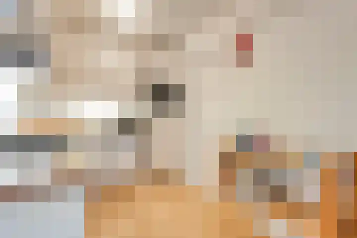 Luzacware 56 Zwolle thumbnail 18