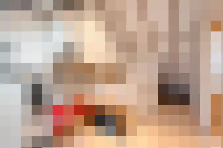 Luzacware 56 Zwolle thumbnail 31