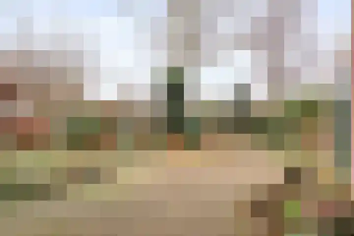 Luzacware 56 Zwolle thumbnail 34