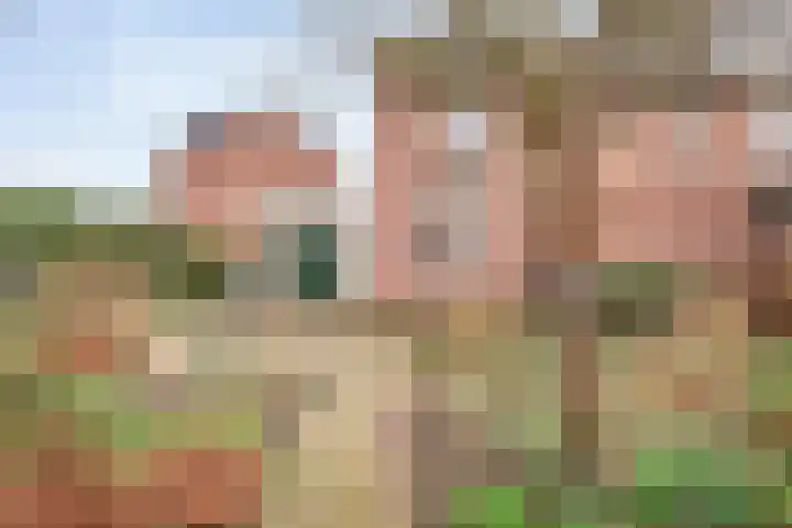 Luzacware 56 Zwolle thumbnail 36