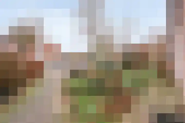 Luzacware 56 Zwolle thumbnail 39