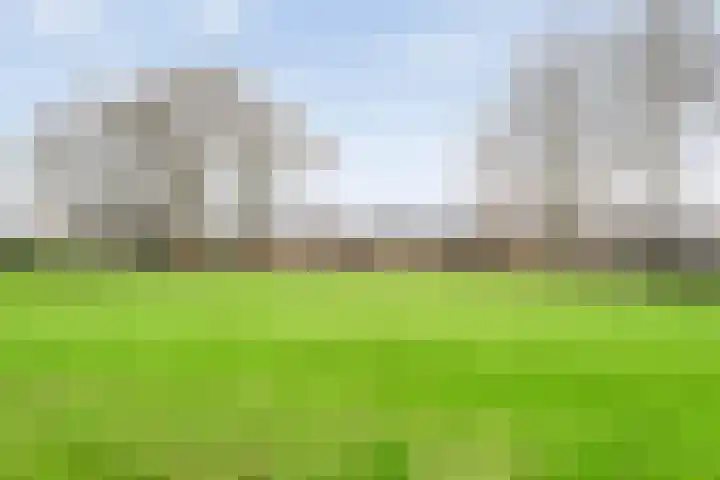 Luzacware 56 Zwolle thumbnail 43