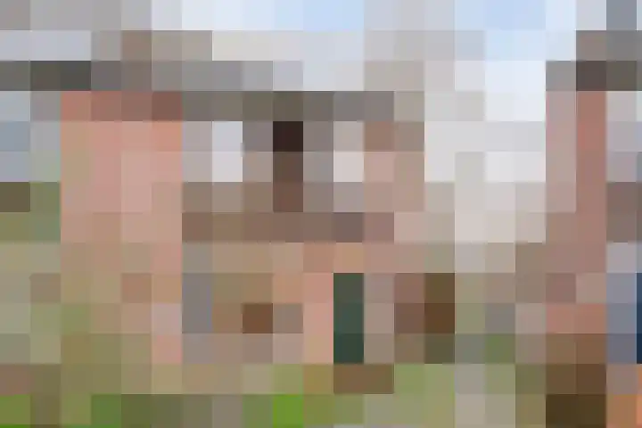 Luzacware 56 Zwolle thumbnail 5