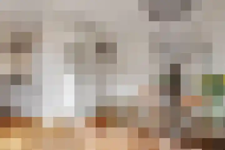 Luzerne 2 Elburg thumbnail 16
