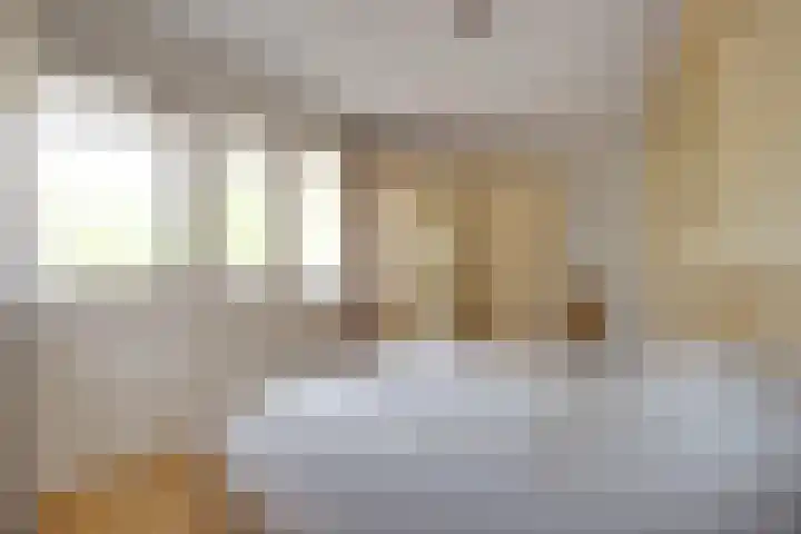Luzerne 2 Elburg thumbnail 27
