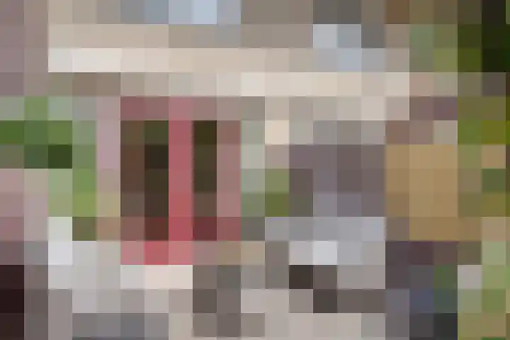 Luzerne 2 Elburg thumbnail 38