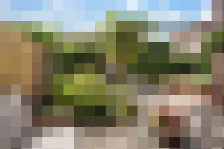 Luzerne 2 Elburg thumbnail 39