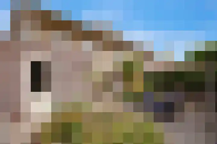 Luzerne 2 Elburg thumbnail 41