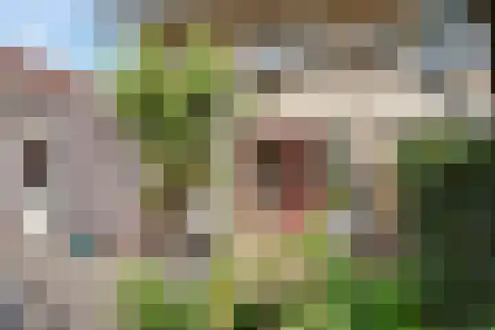 Luzerne 2 Elburg thumbnail 43