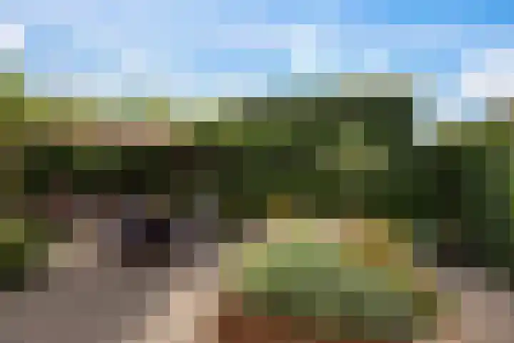 Luzerne 2 Elburg thumbnail 45