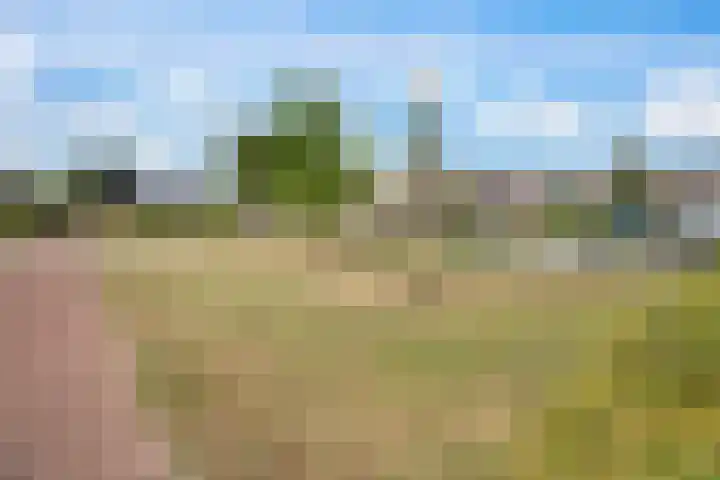 Luzerne 2 Elburg thumbnail 47