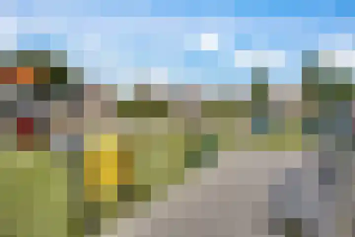 Luzerne 2 Elburg thumbnail 48