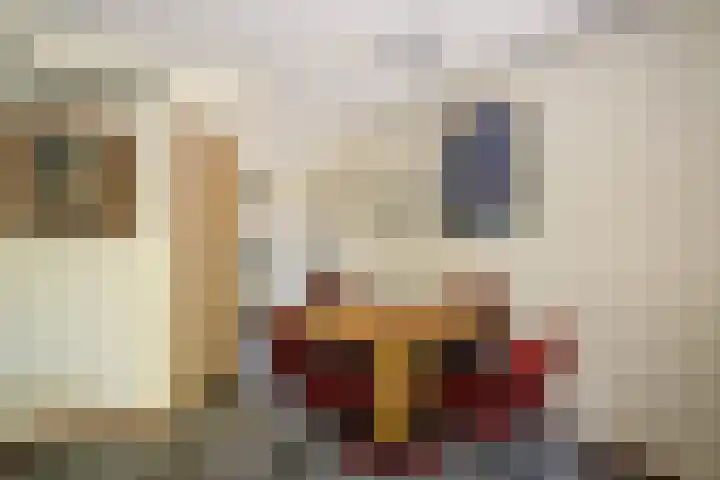 Luzerneklaver 21 Rotterdam thumbnail 13