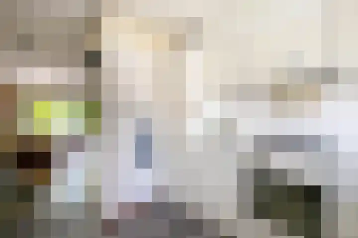 Luzerneklaver 21 Rotterdam thumbnail 16