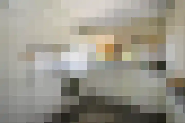 Luzerneklaver 21 Rotterdam thumbnail 17