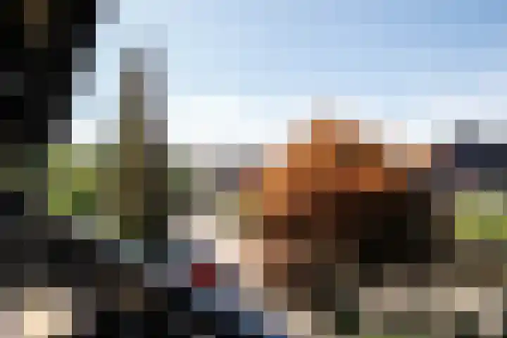Luzerneklaver 21 Rotterdam thumbnail 24