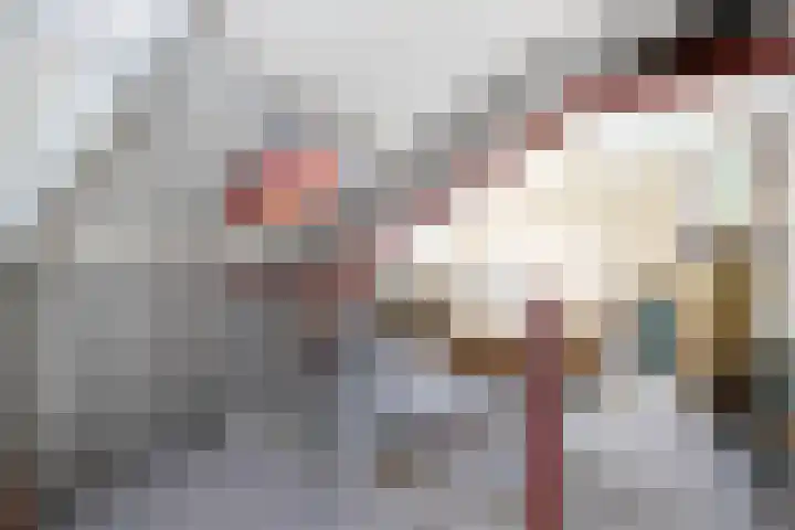 Luzerneklaver 21 Rotterdam thumbnail 27