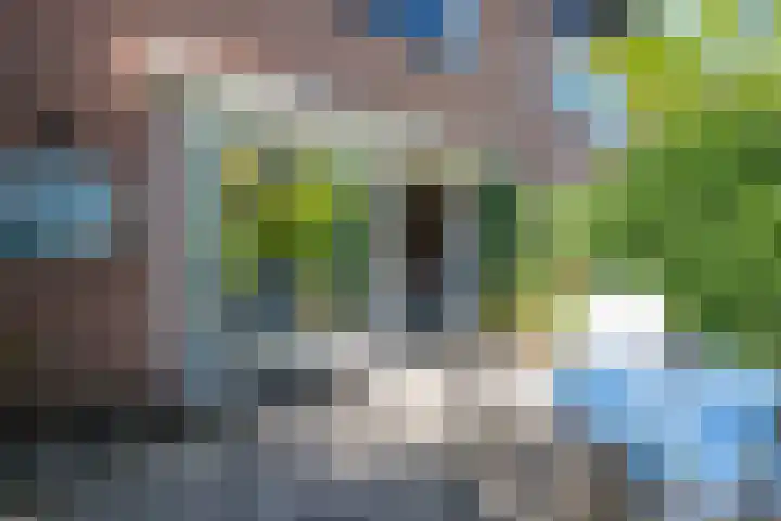 Luzerneklaver 21 Rotterdam thumbnail 31