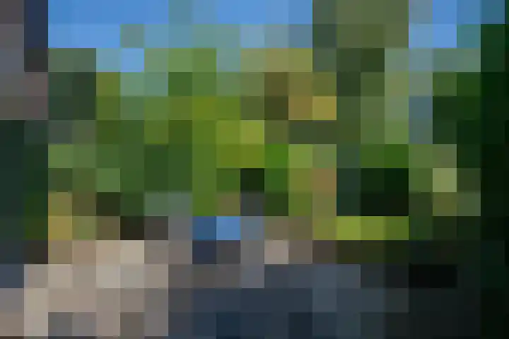 Luzerneklaver 21 Rotterdam thumbnail 32
