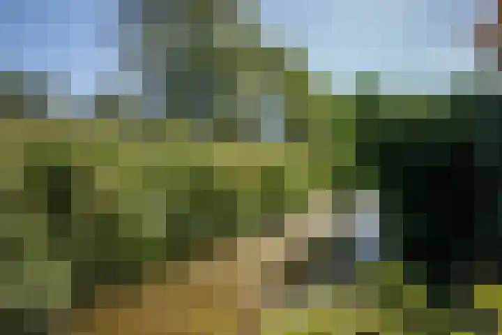 Luzerneklaver 21 Rotterdam thumbnail 37