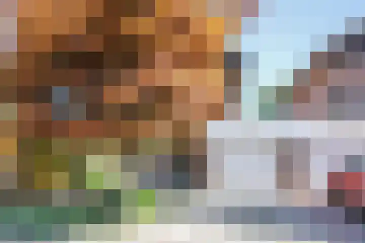 Luzerneklaver 21 Rotterdam thumbnail 38