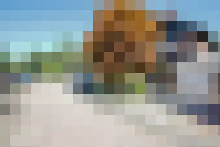 Luzerneklaver 21 Rotterdam thumbnail 42