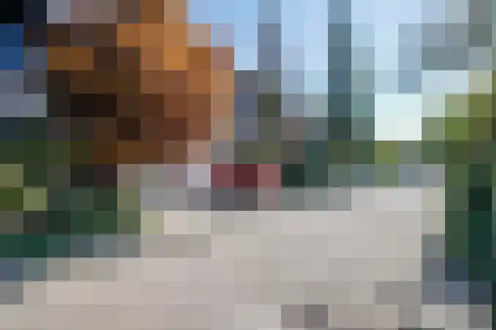 Luzerneklaver 21 Rotterdam thumbnail 43