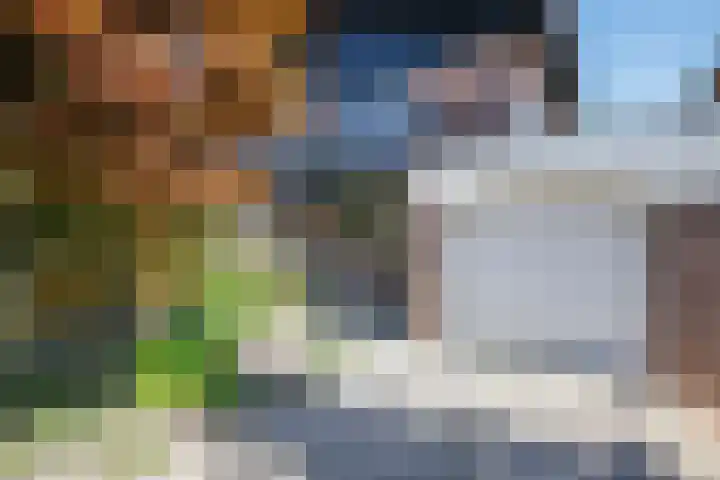 Luzerneklaver 21 Rotterdam thumbnail 6