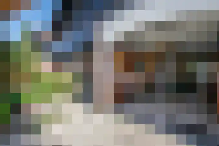 Luzerneklaver 21 Rotterdam thumbnail 7