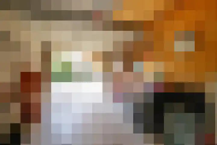 Luzerneklaver 21 Rotterdam thumbnail 8