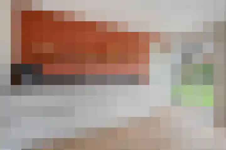 Luzernevlinder 107 Meppel thumbnail 11