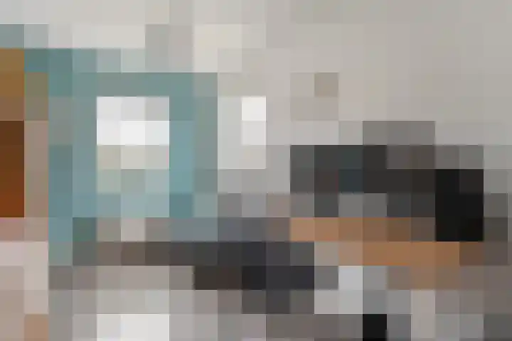 Luzernevlinder 107 Meppel thumbnail 16