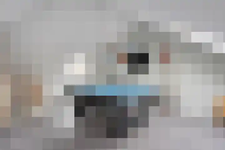 Luzernevlinder 107 Meppel thumbnail 25