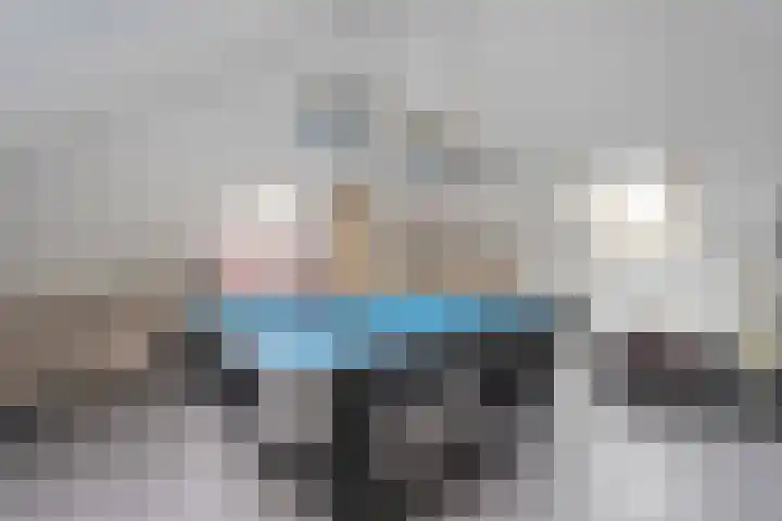 Luzernevlinder 107 Meppel thumbnail 26