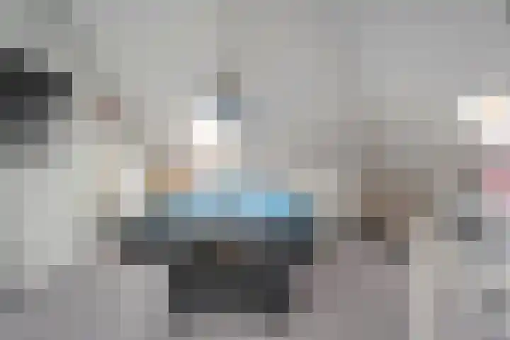 Luzernevlinder 107 Meppel thumbnail 27