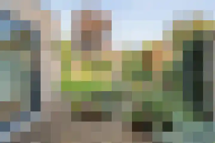Luzernevlinder 107 Meppel thumbnail 28