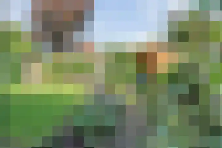 Luzernevlinder 107 Meppel thumbnail 31