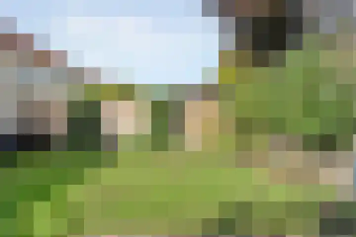 Luzernevlinder 107 Meppel thumbnail 32