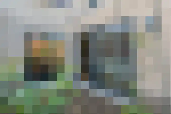 Luzernevlinder 107 Meppel thumbnail 33
