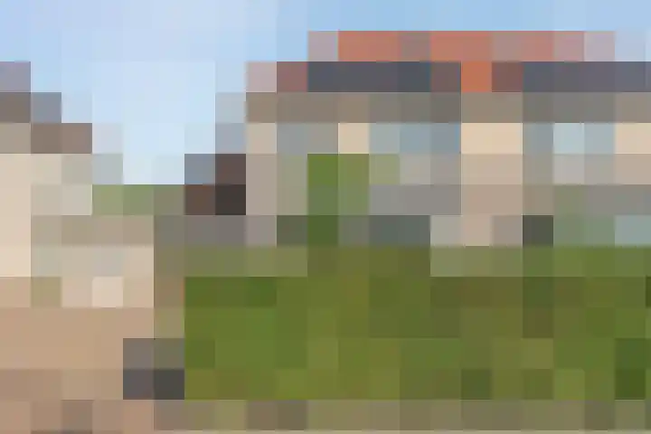 Luzernevlinder 107 Meppel thumbnail 34