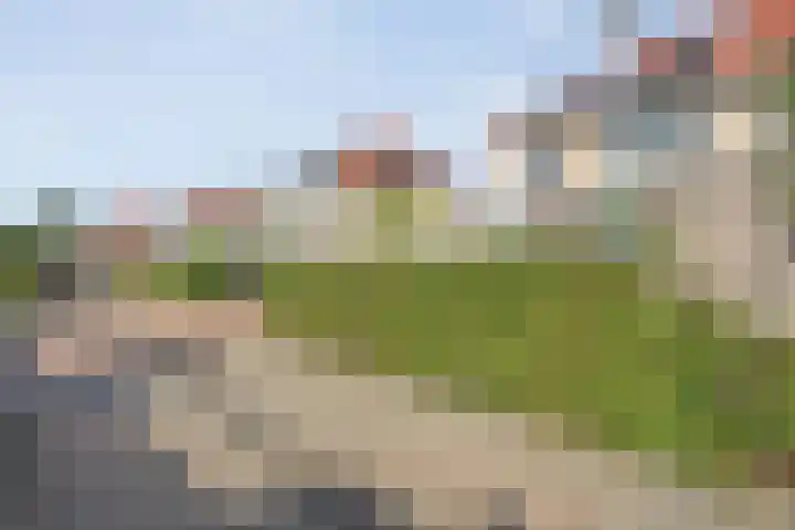 Luzernevlinder 107 Meppel thumbnail 35