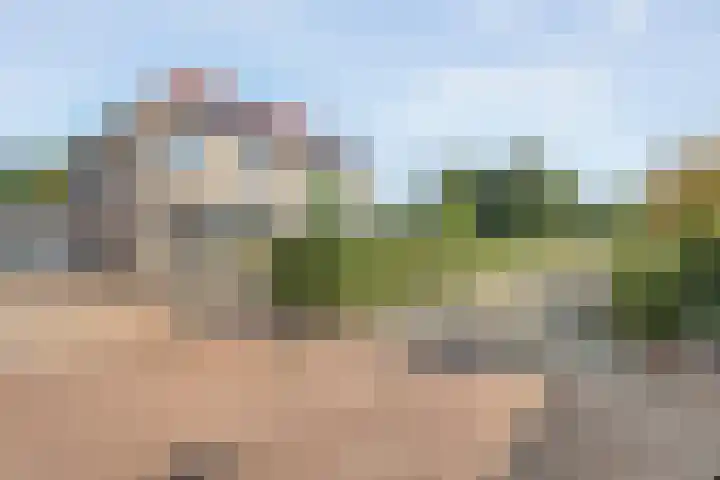 Luzernevlinder 107 Meppel thumbnail 36