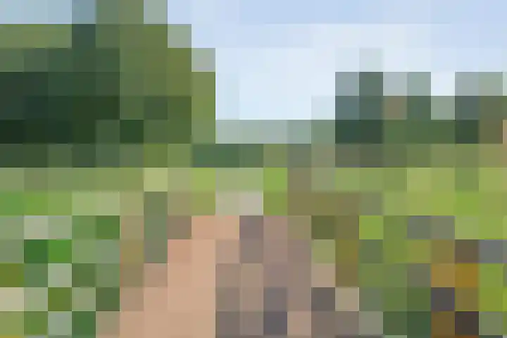 Luzernevlinder 107 Meppel thumbnail 39