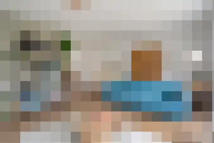 Luzernevlinder 107 Meppel thumbnail 6