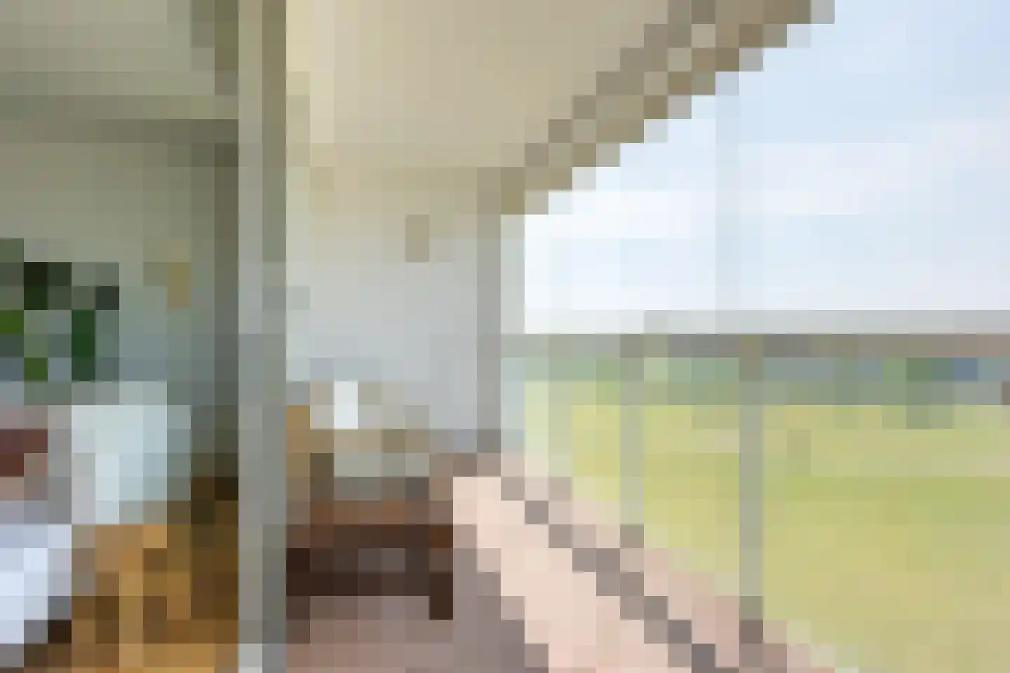 Luzernevlinder 122 Utrecht thumbnail 21