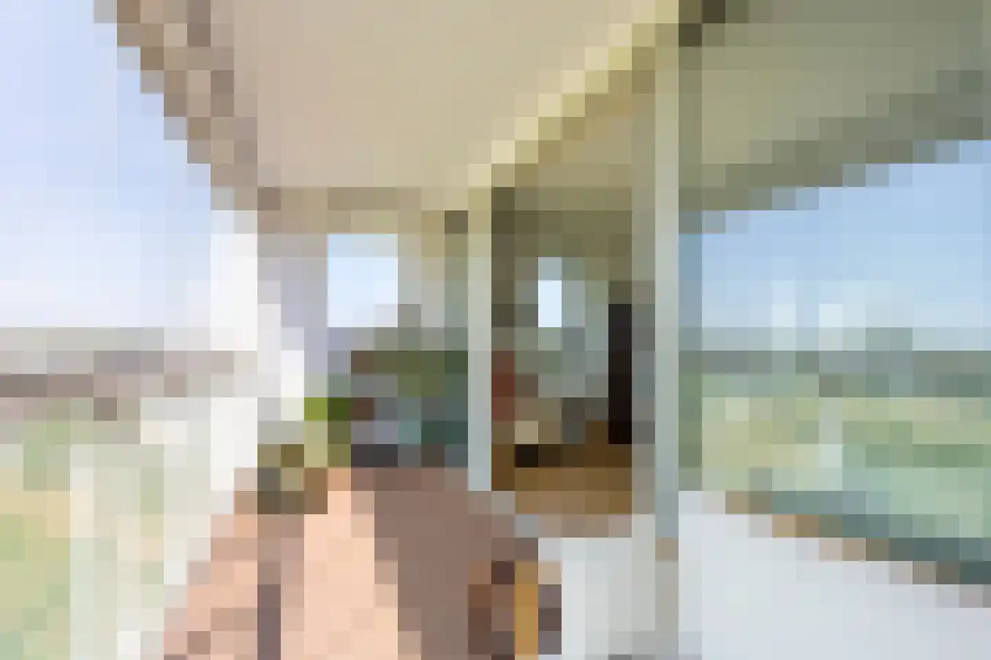 Luzernevlinder 122 Utrecht thumbnail 23