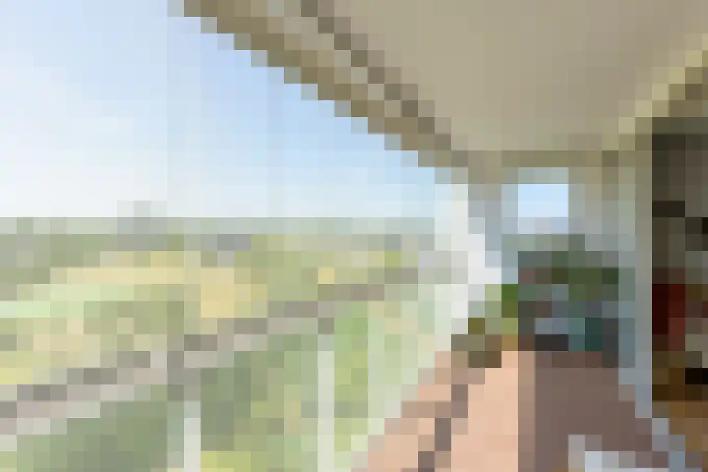 Luzernevlinder 122 Utrecht thumbnail 24