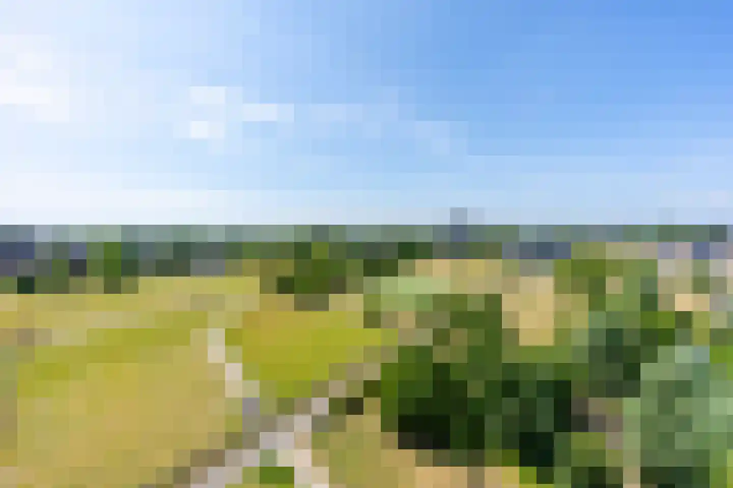 Luzernevlinder 122 Utrecht thumbnail 27