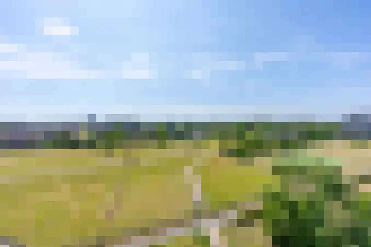 Luzernevlinder 122 Utrecht thumbnail 28
