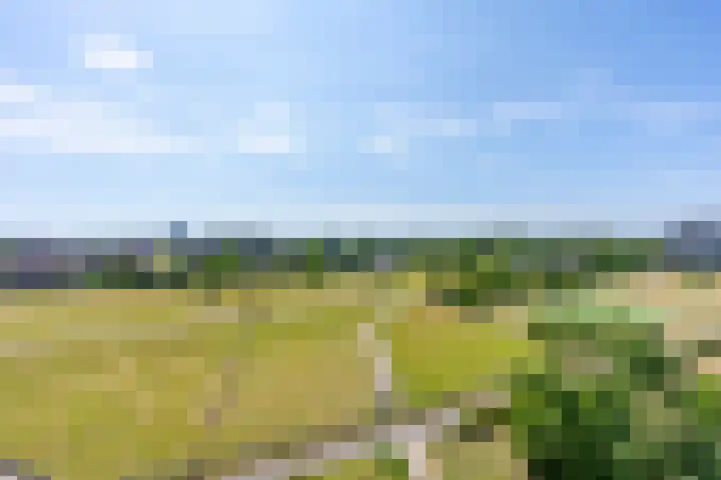 Luzernevlinder 122 Utrecht thumbnail 29